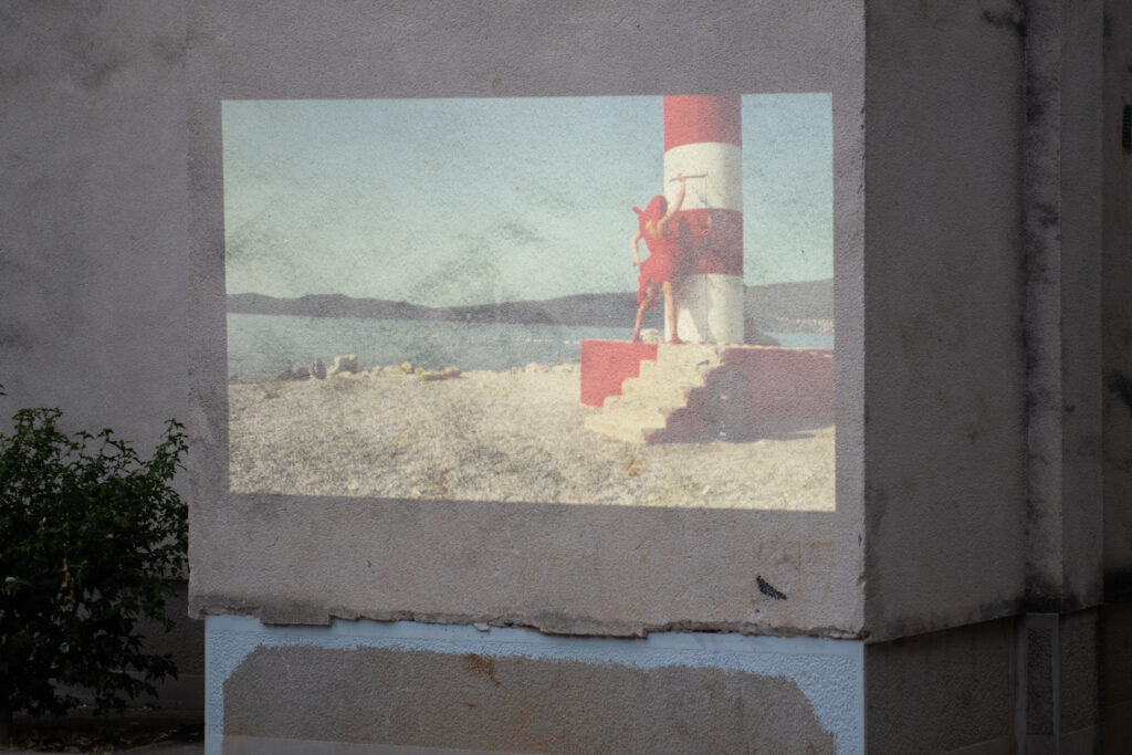 copyright_dusko.miljanic_38267670488