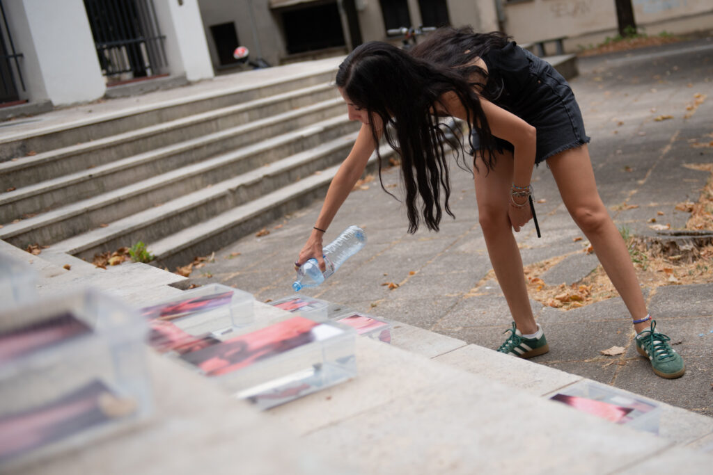 copyright_dusko.miljanic_38267670488