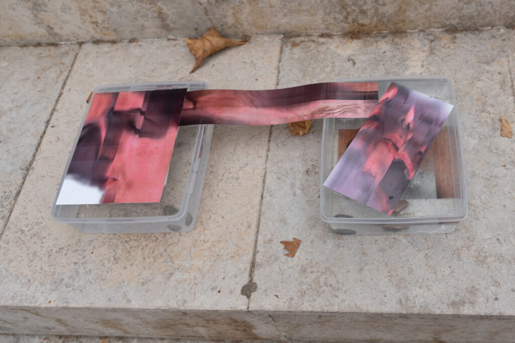 copyright_dusko.miljanic_38267670488