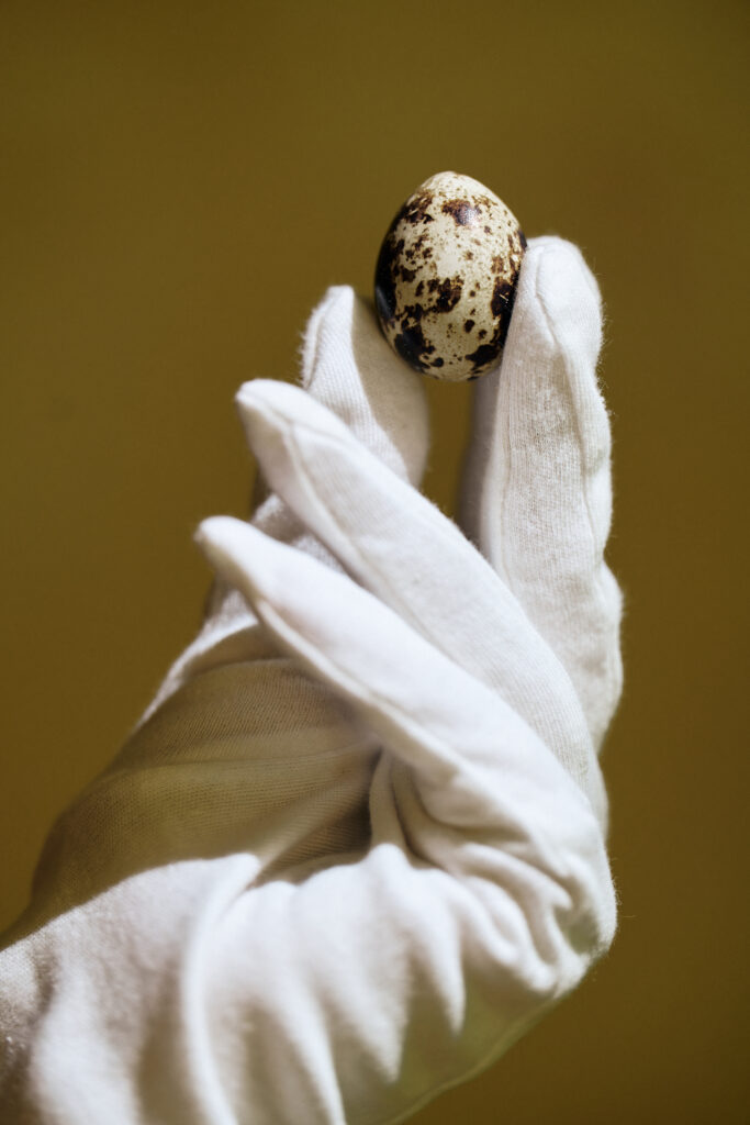 COPYRIGHT_DUSKO_MILJANIC_MONTENEGRO